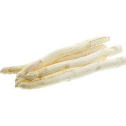 ASPERGE BLANCHE 22+ 2KG
